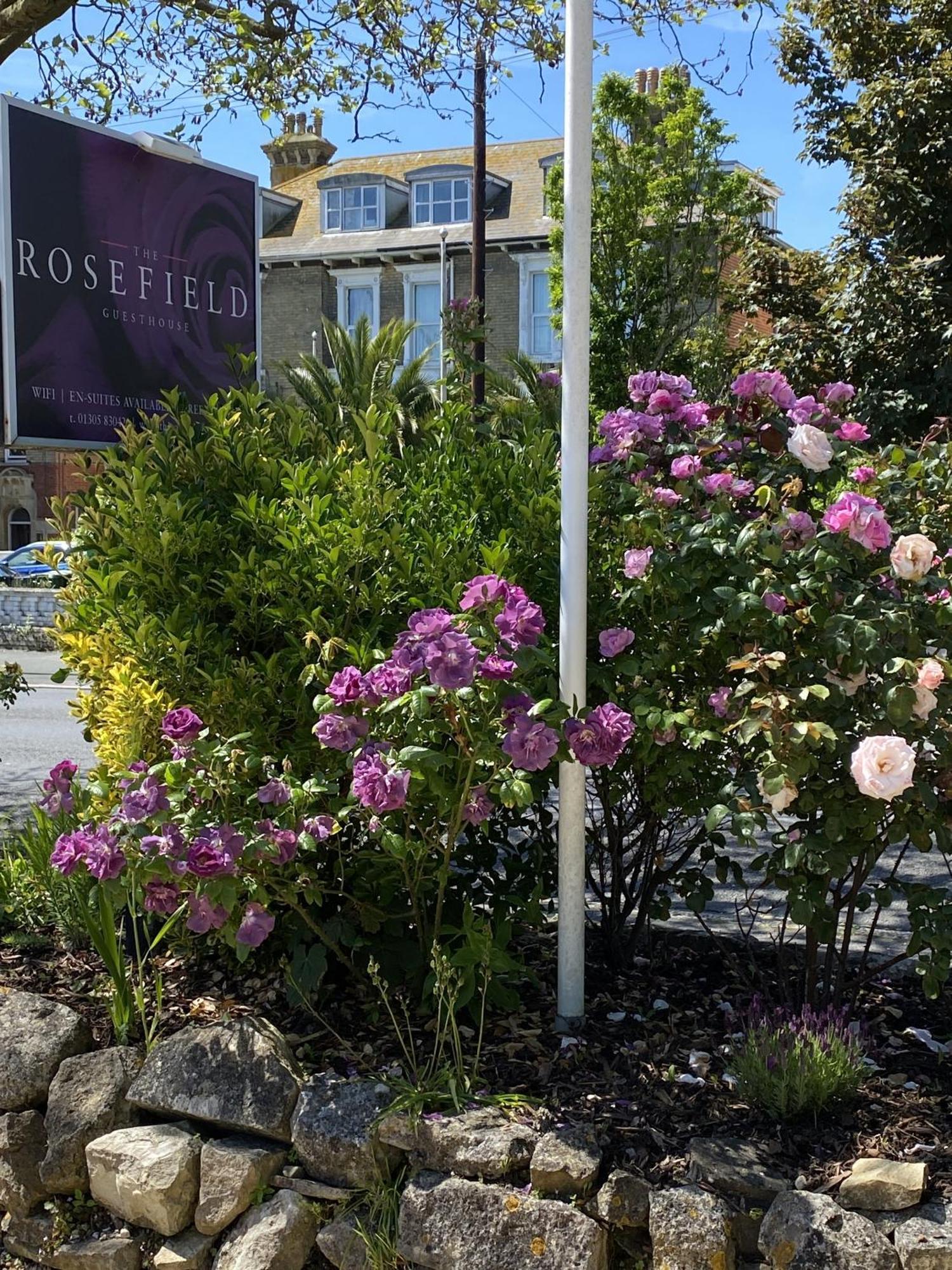 מלון וויימות' The Rosefield מראה חיצוני תמונה